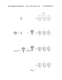 TEMPLATE DIRECTED SPLIT AND MIX SYNTHESIS OF SMALL MOLECULE LIBRARIES diagram and image