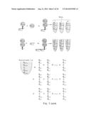 TEMPLATE DIRECTED SPLIT AND MIX SYNTHESIS OF SMALL MOLECULE LIBRARIES diagram and image