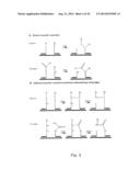 TEMPLATE DIRECTED SPLIT AND MIX SYNTHESIS OF SMALL MOLECULE LIBRARIES diagram and image