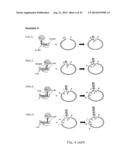 TEMPLATE DIRECTED SPLIT AND MIX SYNTHESIS OF SMALL MOLECULE LIBRARIES diagram and image