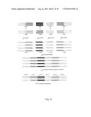 TEMPLATE DIRECTED SPLIT AND MIX SYNTHESIS OF SMALL MOLECULE LIBRARIES diagram and image