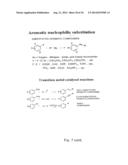 TEMPLATE DIRECTED SPLIT AND MIX SYNTHESIS OF SMALL MOLECULE LIBRARIES diagram and image