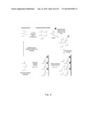 TEMPLATE DIRECTED SPLIT AND MIX SYNTHESIS OF SMALL MOLECULE LIBRARIES diagram and image