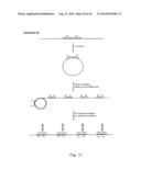 TEMPLATE DIRECTED SPLIT AND MIX SYNTHESIS OF SMALL MOLECULE LIBRARIES diagram and image