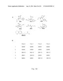 TEMPLATE DIRECTED SPLIT AND MIX SYNTHESIS OF SMALL MOLECULE LIBRARIES diagram and image