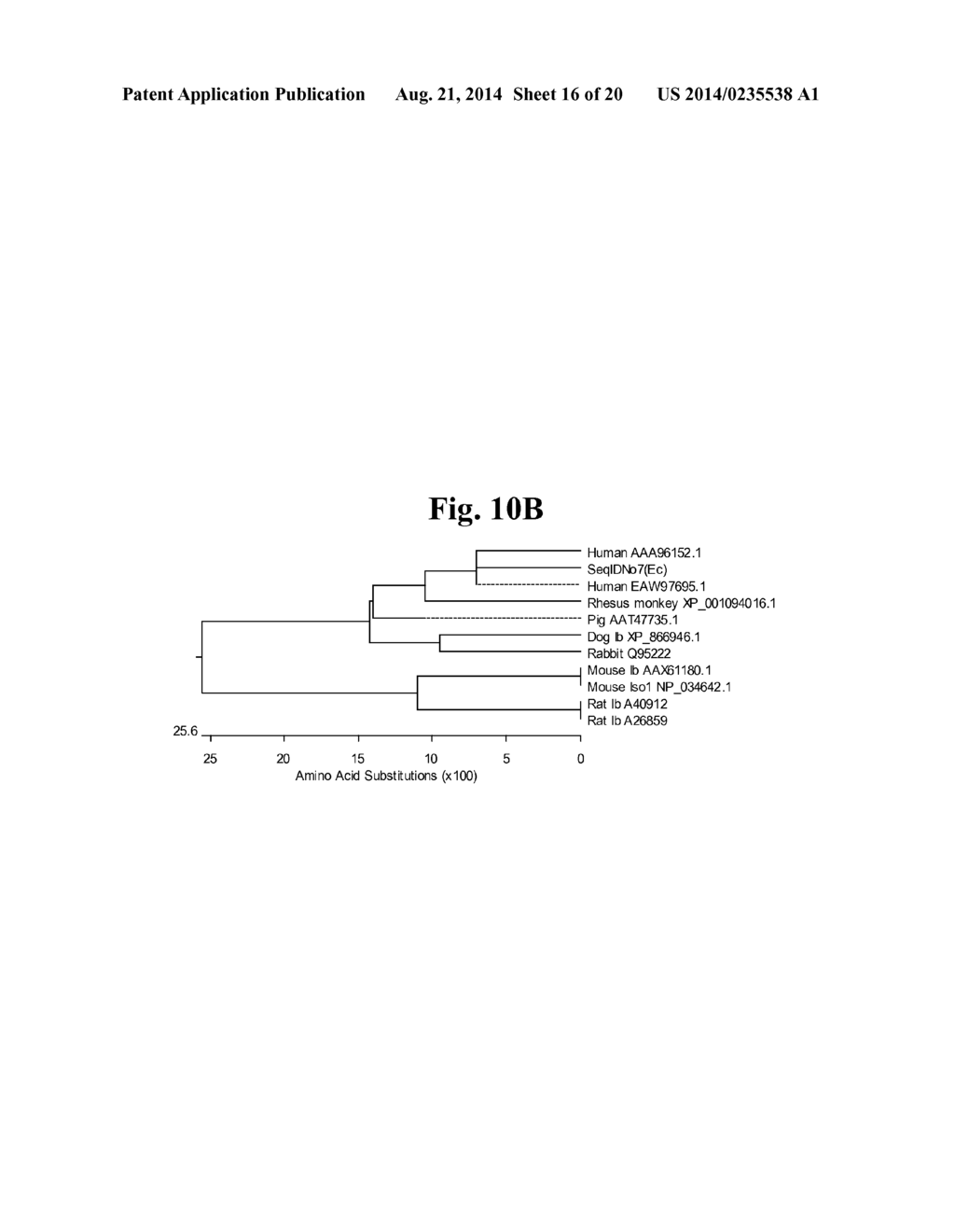 Stabilized Insulin-like Growth Factor Polypeptides - diagram, schematic, and image 17