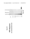 COMPOSITIONS AND METHODS FOR INTRODUCTION OF MACROMOLECULES INTO CELLS diagram and image