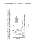 COMPOSITIONS AND METHODS FOR INTRODUCTION OF MACROMOLECULES INTO CELLS diagram and image