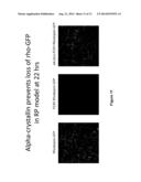 COMPOSITIONS AND METHODS FOR INTRODUCTION OF MACROMOLECULES INTO CELLS diagram and image