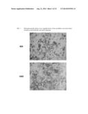 INTRAVENOUS FORMULATION WITH WATER-SOLUBLE COCRYSTALS OF ACETYLSALICYLIC     ACID AND THEANINE diagram and image