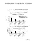 AGENTS AND METHODS FOR TREATING ISCHEMIC AND OTHER DISEASES diagram and image