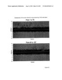 AGENTS AND METHODS FOR TREATING ISCHEMIC AND OTHER DISEASES diagram and image