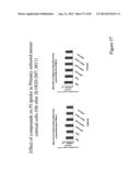 AGENTS AND METHODS FOR TREATING ISCHEMIC AND OTHER DISEASES diagram and image