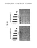 AGENTS AND METHODS FOR TREATING ISCHEMIC AND OTHER DISEASES diagram and image