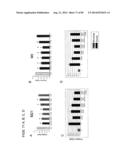 AGENTS AND METHODS FOR TREATING ISCHEMIC AND OTHER DISEASES diagram and image