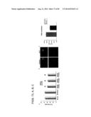 AGENTS AND METHODS FOR TREATING ISCHEMIC AND OTHER DISEASES diagram and image