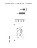 AGENTS AND METHODS FOR TREATING ISCHEMIC AND OTHER DISEASES diagram and image