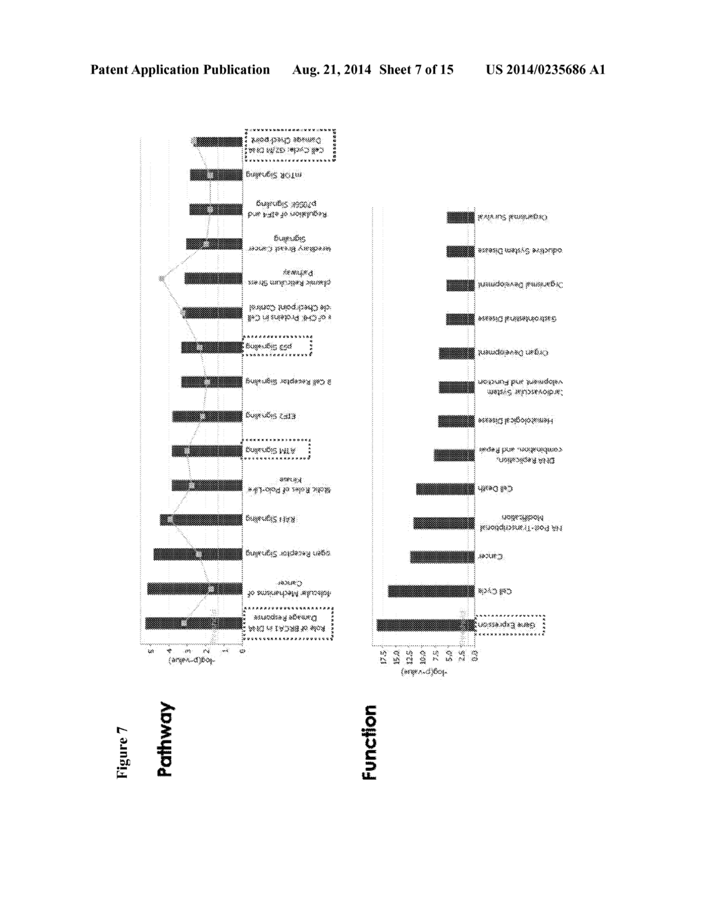 ZNF365/ZFP365 Biomarker Predictive of Anti-Cancer Response - diagram, schematic, and image 08