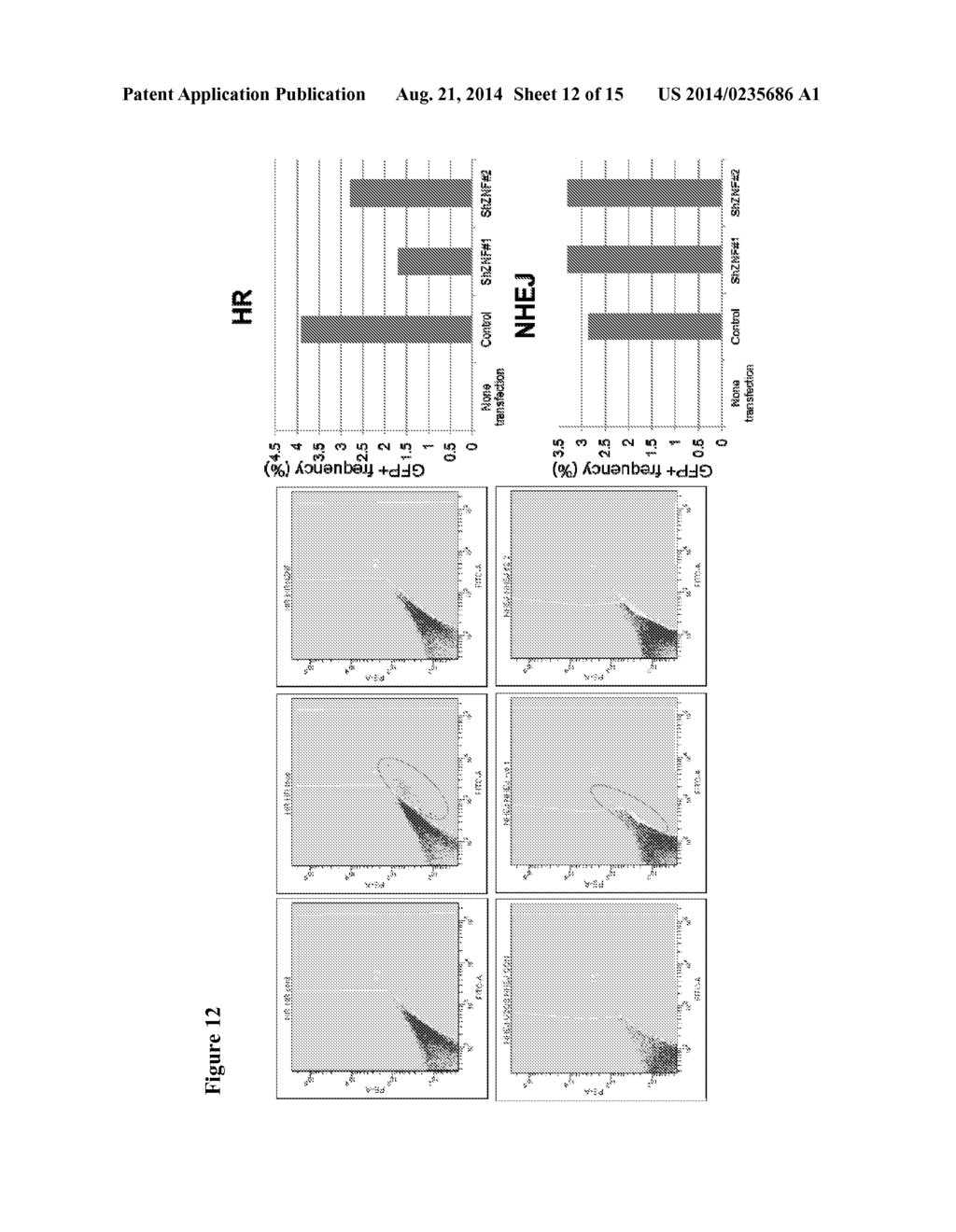 ZNF365/ZFP365 Biomarker Predictive of Anti-Cancer Response - diagram, schematic, and image 13