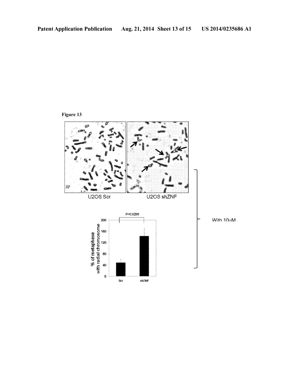 ZNF365/ZFP365 Biomarker Predictive of Anti-Cancer Response - diagram, schematic, and image 14