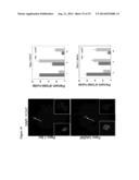 ZNF365/ZFP365 Biomarker Predictive of Anti-Cancer Response diagram and image