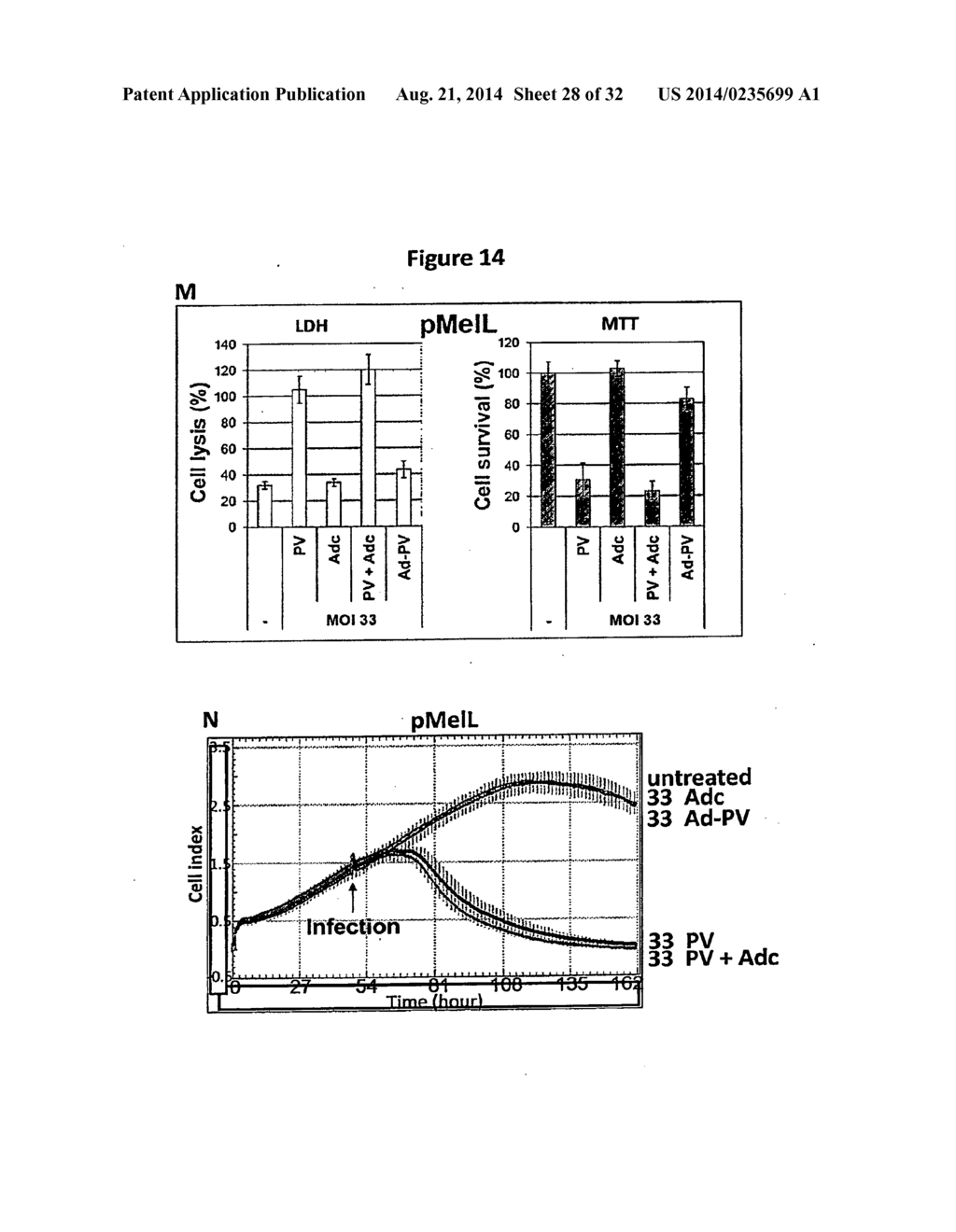 ADENO-PARVOVIRUS CHIMERA WITH ENHANCED ONCOLYTICAL POTENTIAL - diagram, schematic, and image 29