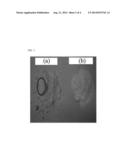 WATER-DISPERSIBLE HALOGEN-CAPPING POLYALKYLACRYLATE, VINYL CHLORIDE-BASED     BLOCK COPOLYMER AND METHOD FOR PREPARING THE SAME (As Amended) diagram and image