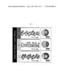 MICRODROPLET OR MICROPARTICLE WITH JANUS OR CORE-SHELL INTERNAL MORPHOLOGY     FABRICATED FROM N-ISOPROPYLACRYLAMIDE diagram and image