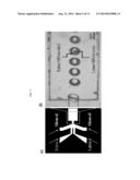 MICRODROPLET OR MICROPARTICLE WITH JANUS OR CORE-SHELL INTERNAL MORPHOLOGY     FABRICATED FROM N-ISOPROPYLACRYLAMIDE diagram and image