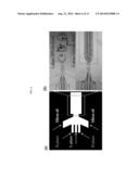 MICRODROPLET OR MICROPARTICLE WITH JANUS OR CORE-SHELL INTERNAL MORPHOLOGY     FABRICATED FROM N-ISOPROPYLACRYLAMIDE diagram and image