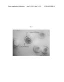 MICRODROPLET OR MICROPARTICLE WITH JANUS OR CORE-SHELL INTERNAL MORPHOLOGY     FABRICATED FROM N-ISOPROPYLACRYLAMIDE diagram and image