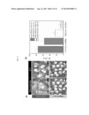 MICRODROPLET OR MICROPARTICLE WITH JANUS OR CORE-SHELL INTERNAL MORPHOLOGY     FABRICATED FROM N-ISOPROPYLACRYLAMIDE diagram and image