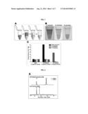 CONVENIENT AND EFFICIENT PURIFICATION METHOD FOR CHEMICALLY LABELED     NUCLEIC ACIDS diagram and image