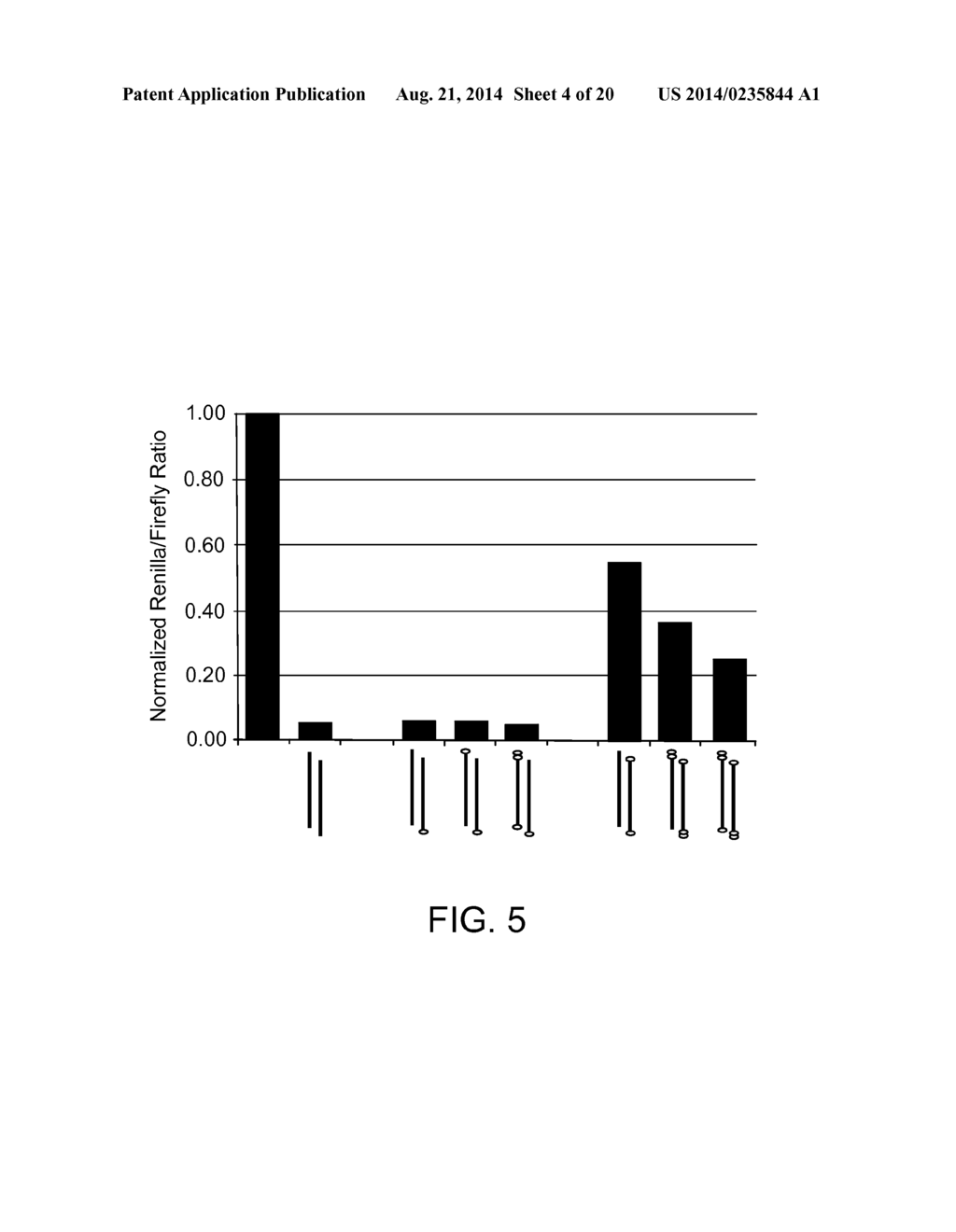 Short Interfering RNA (siRNA) Analogues - diagram, schematic, and image 05