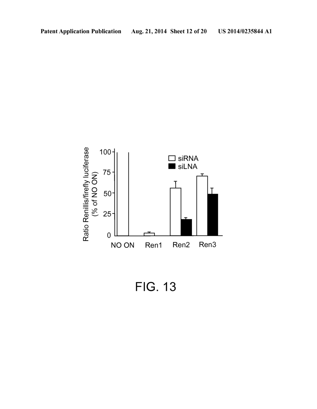 Short Interfering RNA (siRNA) Analogues - diagram, schematic, and image 13