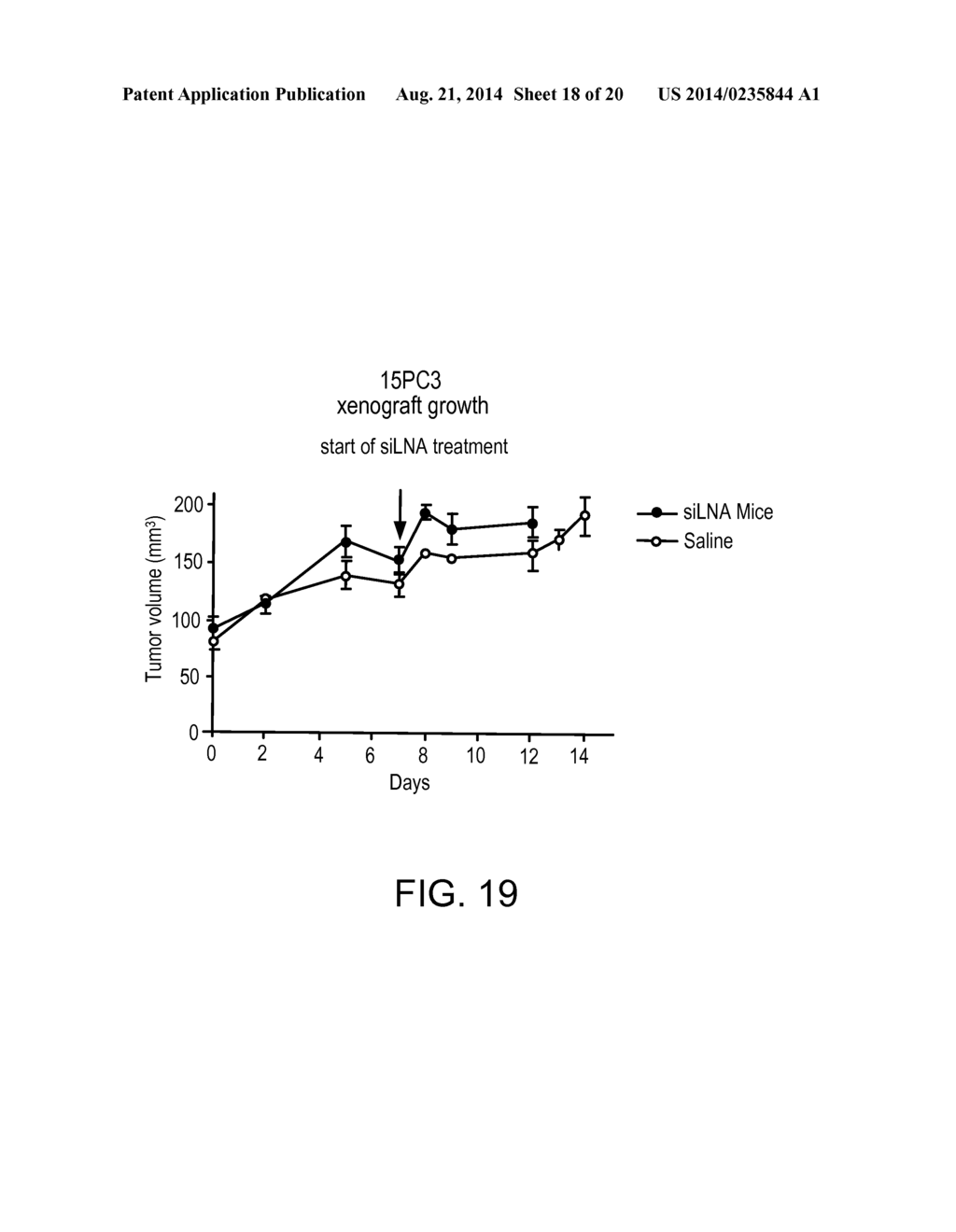 Short Interfering RNA (siRNA) Analogues - diagram, schematic, and image 19