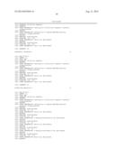 Short Interfering RNA (siRNA) Analogues diagram and image