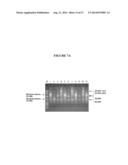 METHODS, COMPOSITIONS, AND KITS FOR GENERATING rRNA-DEPLETED SAMPLES OR     ISOLATING rRNA FROM SAMPLES diagram and image