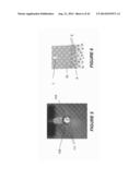 MEASUREMENT OF A FLUORESCENT ANALYTE USING TISSUE EXCITATION diagram and image