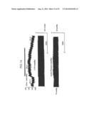 ELECTRICAL MUSCLE CONTROLLER diagram and image