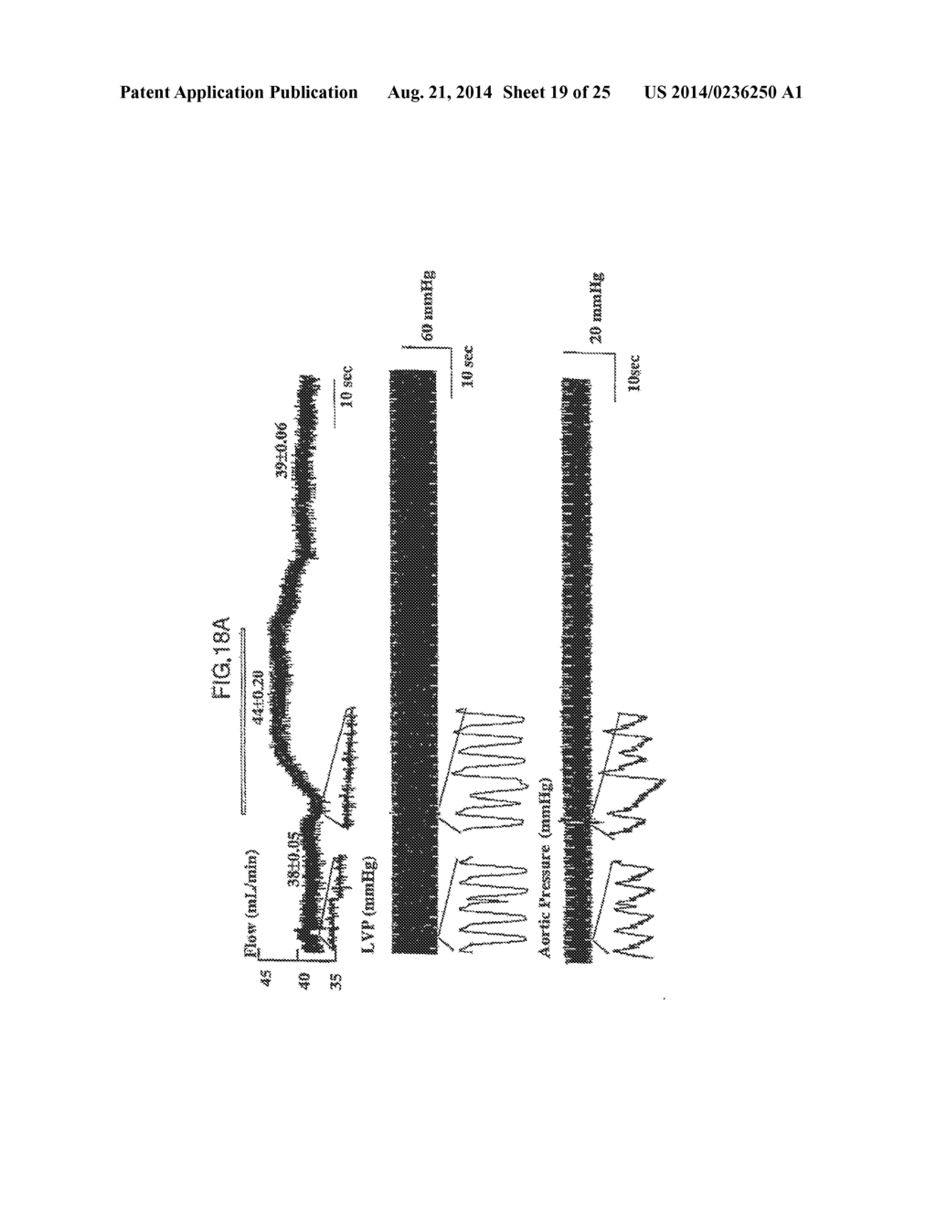 ELECTRICAL MUSCLE CONTROLLER - diagram, schematic, and image 20