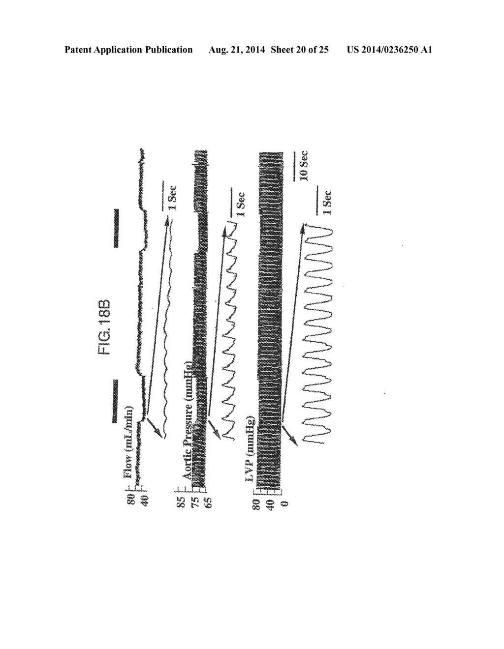 ELECTRICAL MUSCLE CONTROLLER - diagram, schematic, and image 21