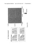 DRUG DELIVERY SYSTEM AND METHOD OF MANUFACTURING THEREOF diagram and image