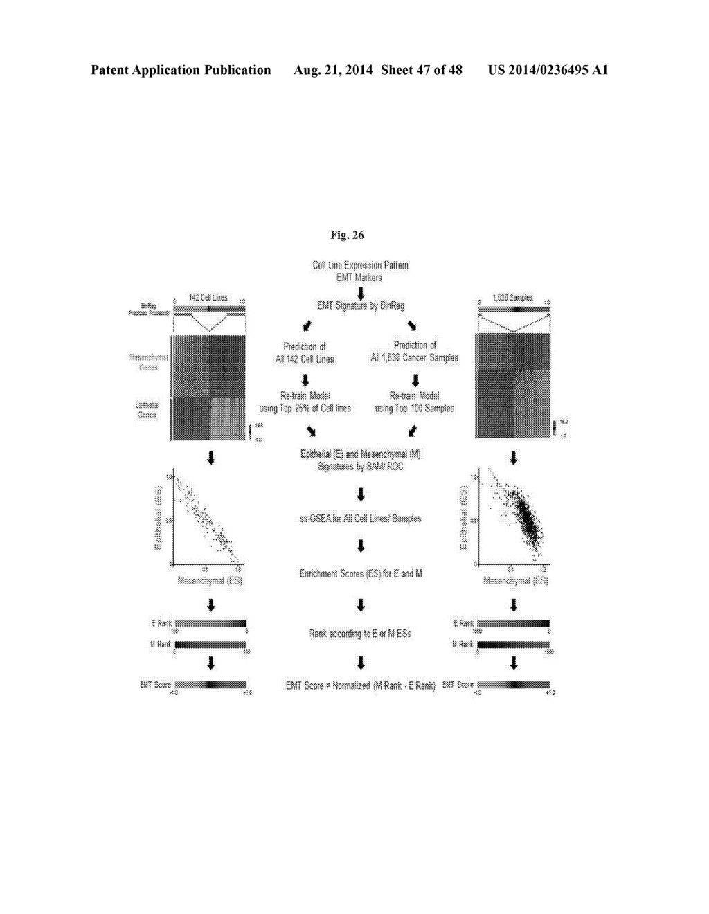 PATIENT STRATIFICATION AND DETERMINING CLINICAL OUTCOME FOR CANCER     PATIENTS - diagram, schematic, and image 48