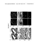 SCREENING METHOD diagram and image