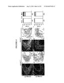 SCREENING METHOD diagram and image