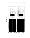 SCREENING METHOD diagram and image