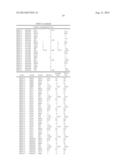 Soybean Variety XB05L13 diagram and image