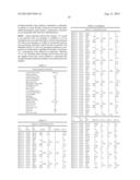 Soybean Variety XR31L13 diagram and image