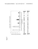 METHODS AND COMPOSITIONS FOR TRANSGENIC PLANTS WITH ENHANCED RESISTANCE TO     BIOTIC AND ABIOTIC STRESS diagram and image